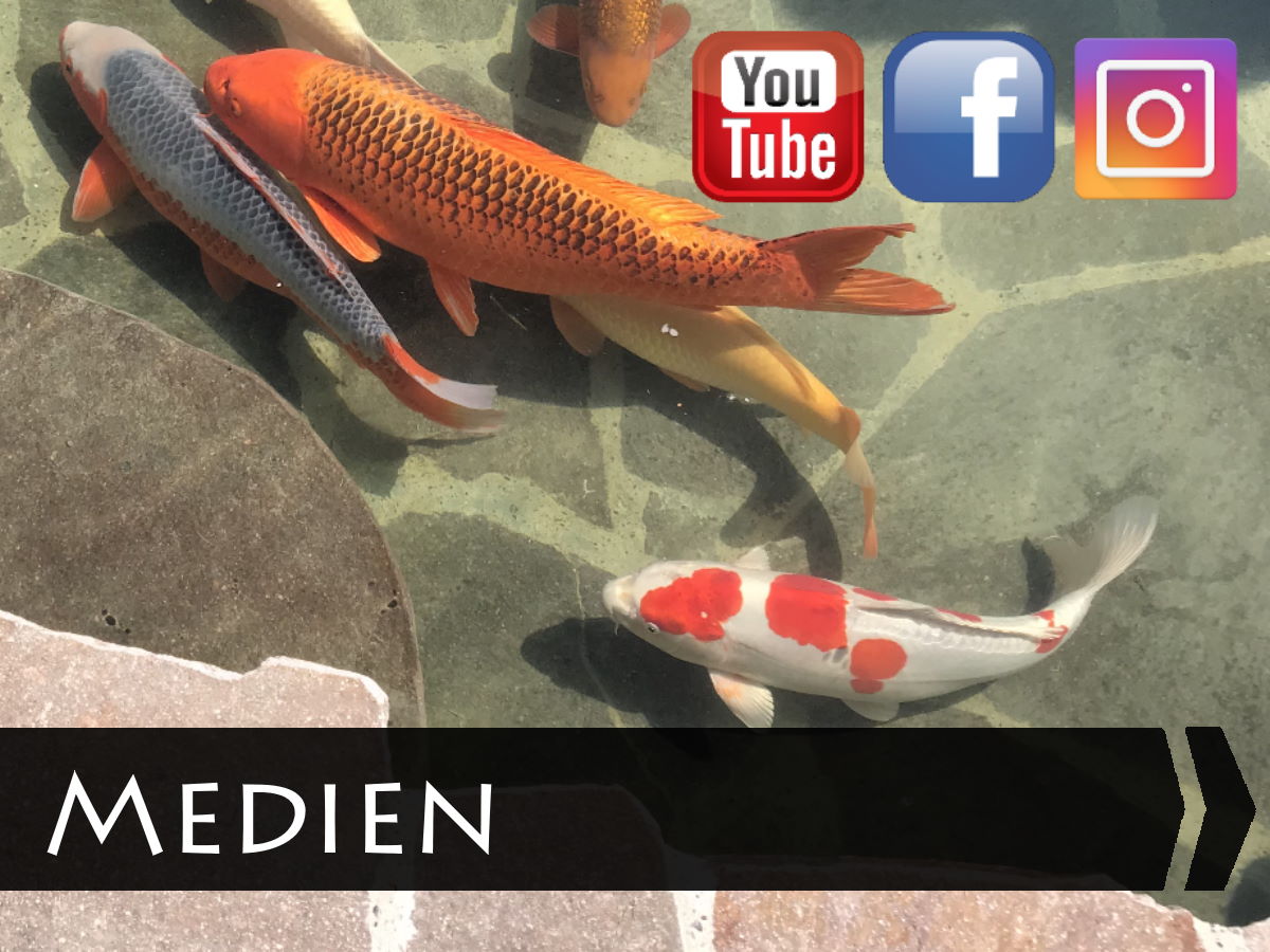 Social Media Steinmetz und Teichbau, Ruedi Weber AG Steinmetz & Teichbau, Kanton Aargau, Bezirk Bremgarten, Kirchenackerstrasse 1, 5525 Fischbach-Göslikon